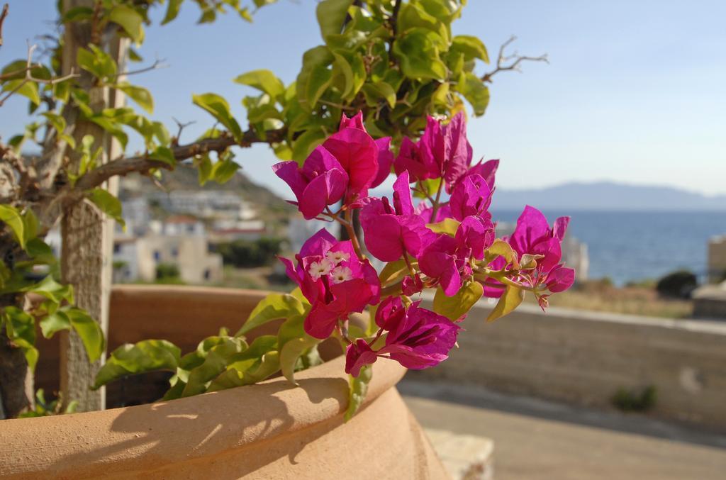 Pantonia Apartments Agia Pelagia  Room photo